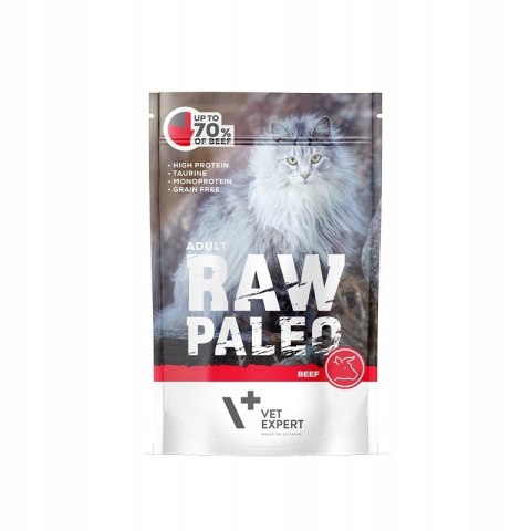 Raw Paleo Adult Cat Beef 100g Wołowina