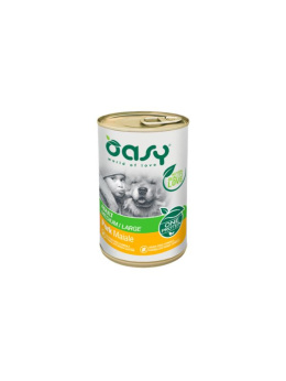 OASY ONE PROTEIN - ADULT - WIEPRZOWINA 400G